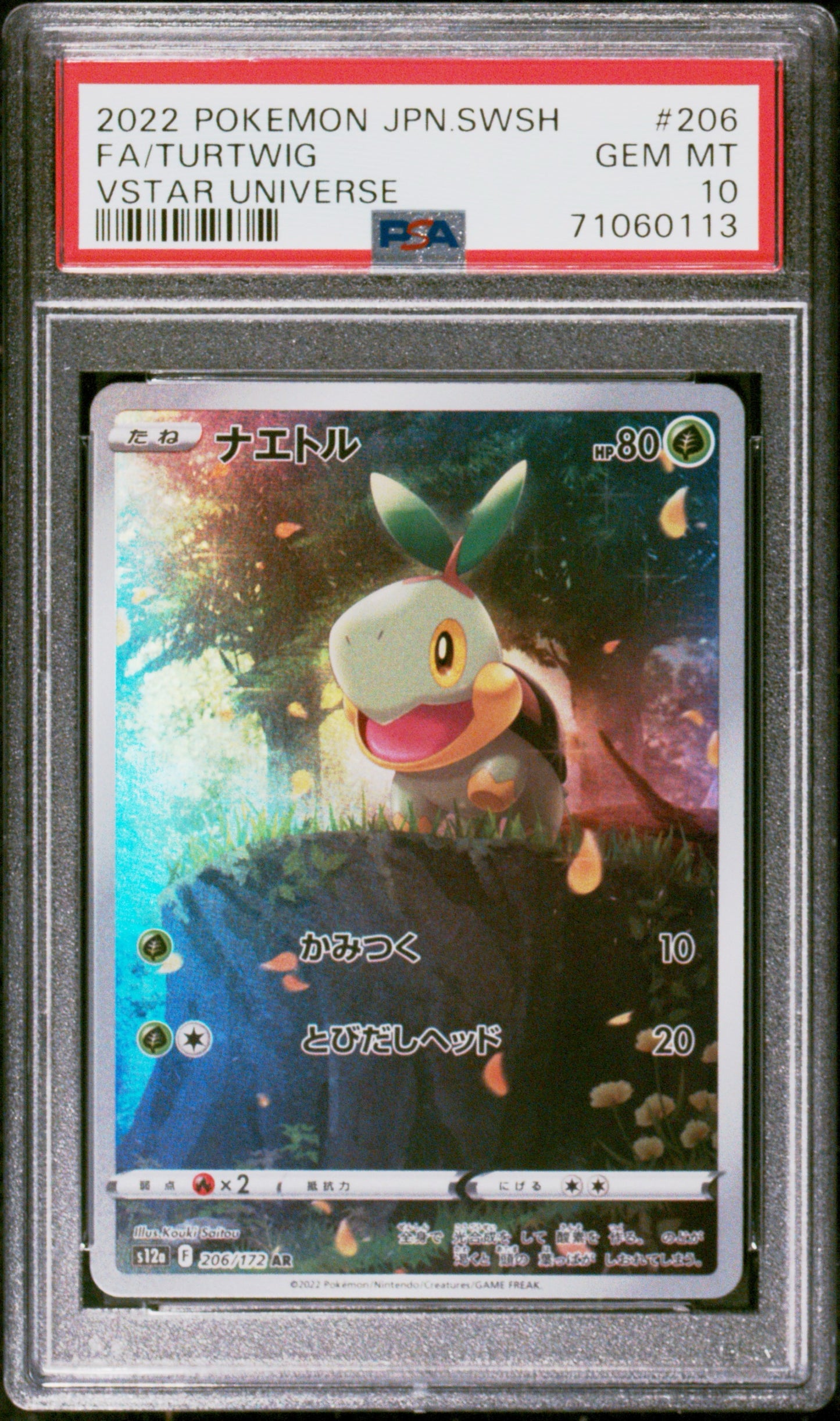 Turtwigfront